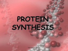 Protein Synthesis - Pascack Valley Regional High School