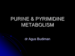 PURINE & PYRIMIDINE METABOLISM