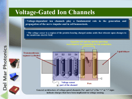 Femtosecond pulses help to study voltage