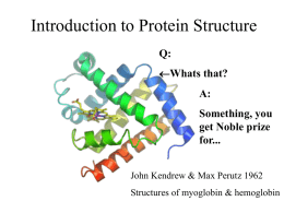Introduction to Structure Biology