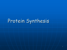 Protein Synthesis - East Aurora Schools