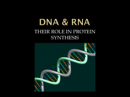 DNA & RNA - East Pennsboro High School