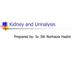Kidney and Urinalysis - Biomedic Generation | Sharing