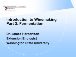 Introduction to Winemaking Part 3: Fermentation