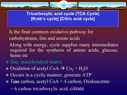 Tricarboxylic acid cycle (TCA Cycle) [Kreb’s cycle
