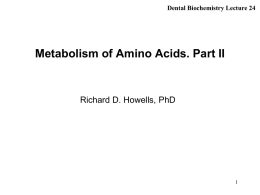 Metabolism of Amino Acids - New Jersey Medical School