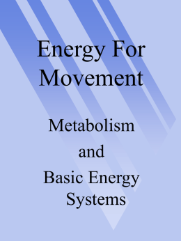 Energy For Movement - Illinois Wesleyan University