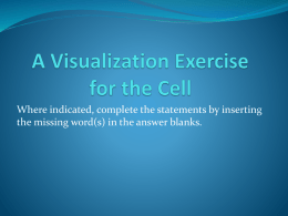 A Visualization Exercise for the Cell