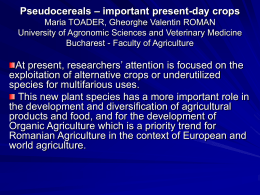 Pseudocereals – important present-day crops Maria