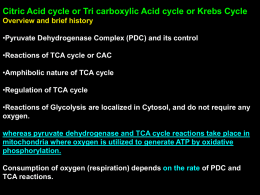 Citric acid Cycle Remake - Study in Universal Science College