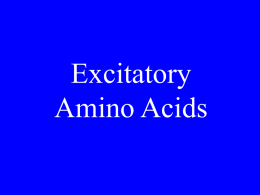 Excitatory amino acid receptors