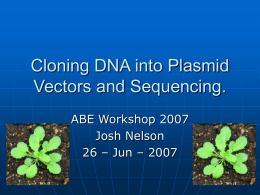 Cloning DNA into Plasmid Vectors and Sequencing.
