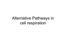 Alternative Pathways in cell respiration