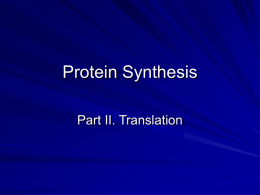 Protein Synthesis - Simon Technology