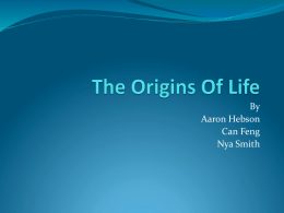 The Origins Of Life