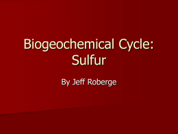 Biogeochemical Cycle: Sulfur