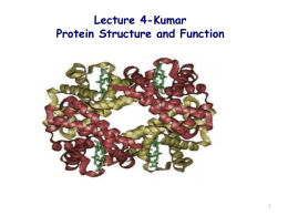 Protein Structure and Function Lecture 4