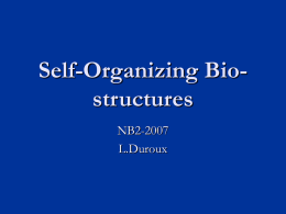 Self-Organizing Bio