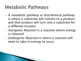 Metabolic Pathways - Centralia College
