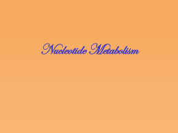 N kleotid Metabolizmas - mustafaaltinisik.org.uk