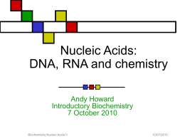 Nucleic Acids: RNA and chemistry