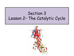 Lesson 2 – Carbohydrates