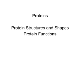 Class_3: Protein - University of Illinois at Urbana