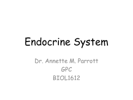 Endocrine System - Dr. Annette M. Parrott