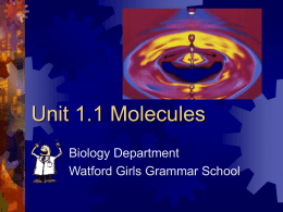 Unit 1.1 Molecules