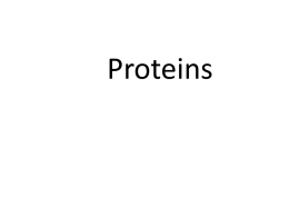 Proteins and Nucleic Acids