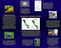 Fire Ant Management - Auburn University College of Agriculture