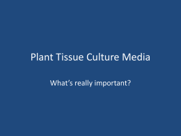 Plant Tissue Culture Media - Horticultural Sciences at