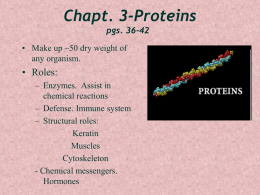 Chapt. 3-Proteins - University of New England