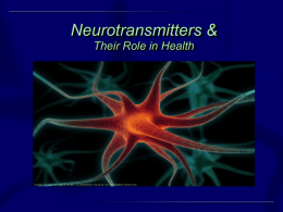 Neurotransmitters Role in Health 2008 PPT