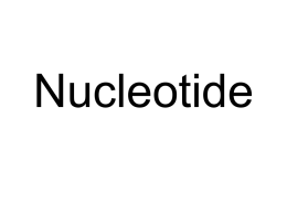 Nucleotide - Jackson County School District