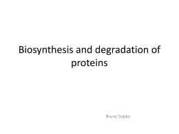Biosynthesis and degradation of proteins