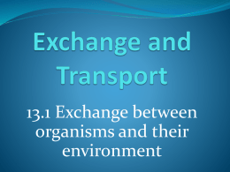 Exchange and Transport - VBIOLOGY