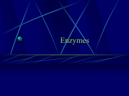 Enzymes - Antelope Valley College