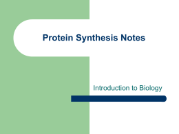 Protein Synthesis Notes - Winona Senior High School