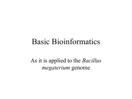 Basic Bioinformatics - NIU Department of Biological Sciences