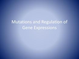 Mutations and Regulation of Gene Expressions