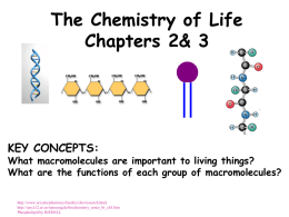 Life Substances - Ms. Rago's Class Website