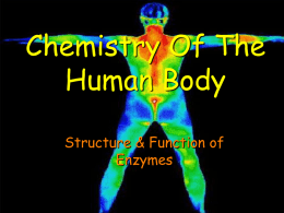 Chemistry Of The Human Body