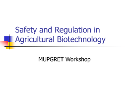 Safety and Regulation in Agricultural Biotechnology