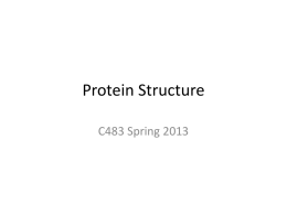 Protein Structure - Chemistry Courses: About: Department