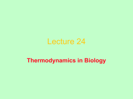 Thermodynamics & ATP