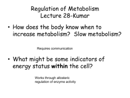 Regulation of Metabolism - New Jersey Medical School
