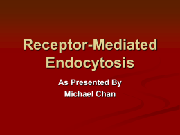 Receptor Mediated Endocytosis - UCO