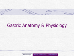 Gastric Anatomy & Physiology