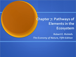 Chapter 7: Pathways of Elements in the Ecosystem